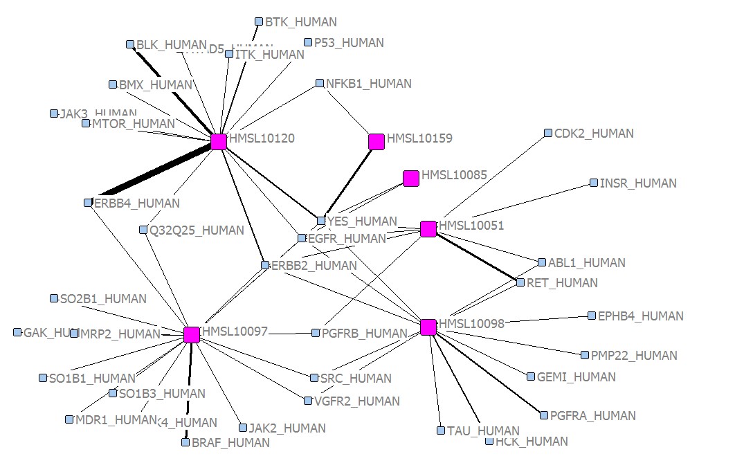 egfr_drugs_network_20131115.jpg