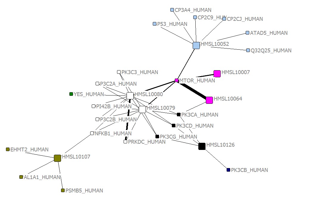mtor_drugs_grouped_20131115.jpg