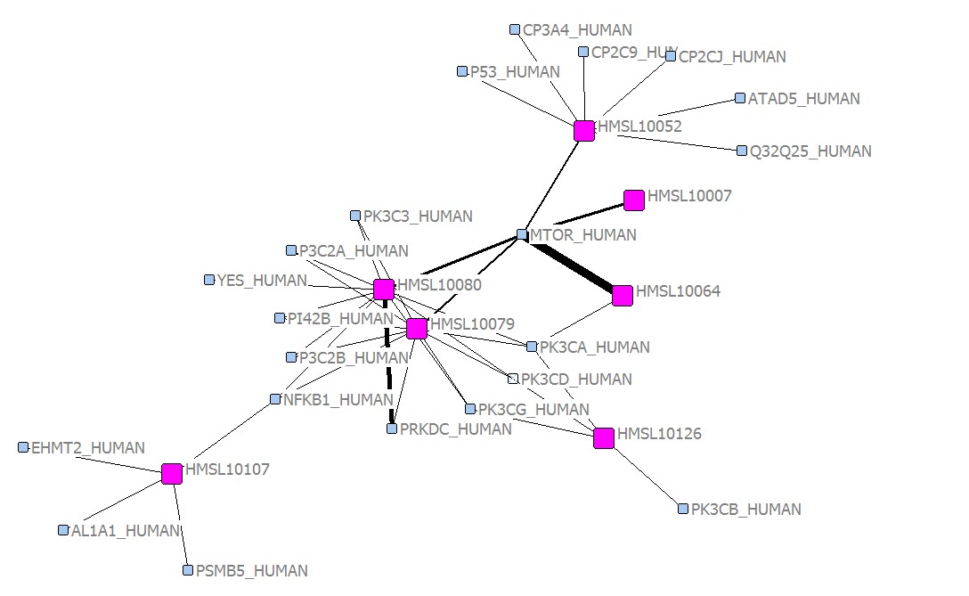 mtor_drugs_network_20131115.jpg