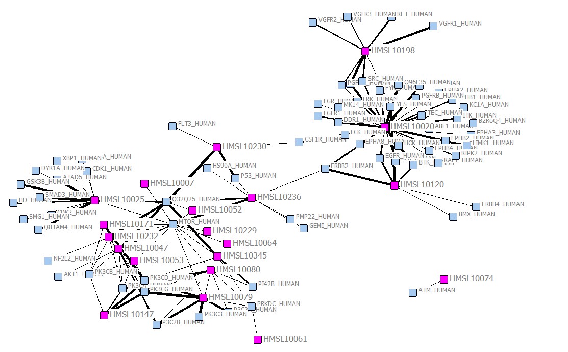 pubchem_mtor_network_20131120.jpg